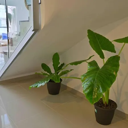 Wunderschoene Duplex-loftwohnung In Apartamento